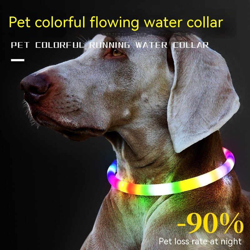 Rechargeable LED Light-Up Dog Collar