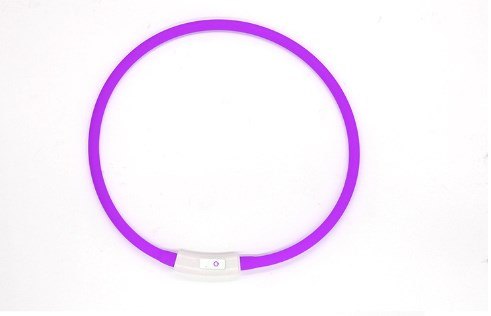 Rechargeable LED Light-Up Dog Collar