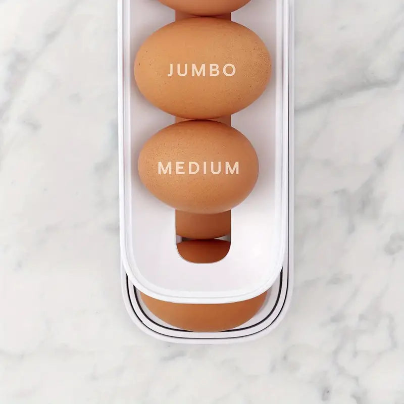 Fridge Egg Holder