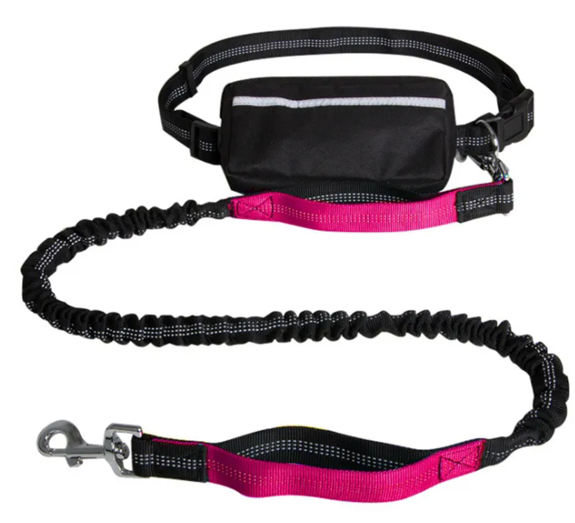 Hands-Free Reflective Dog Leash with Waist Pouch