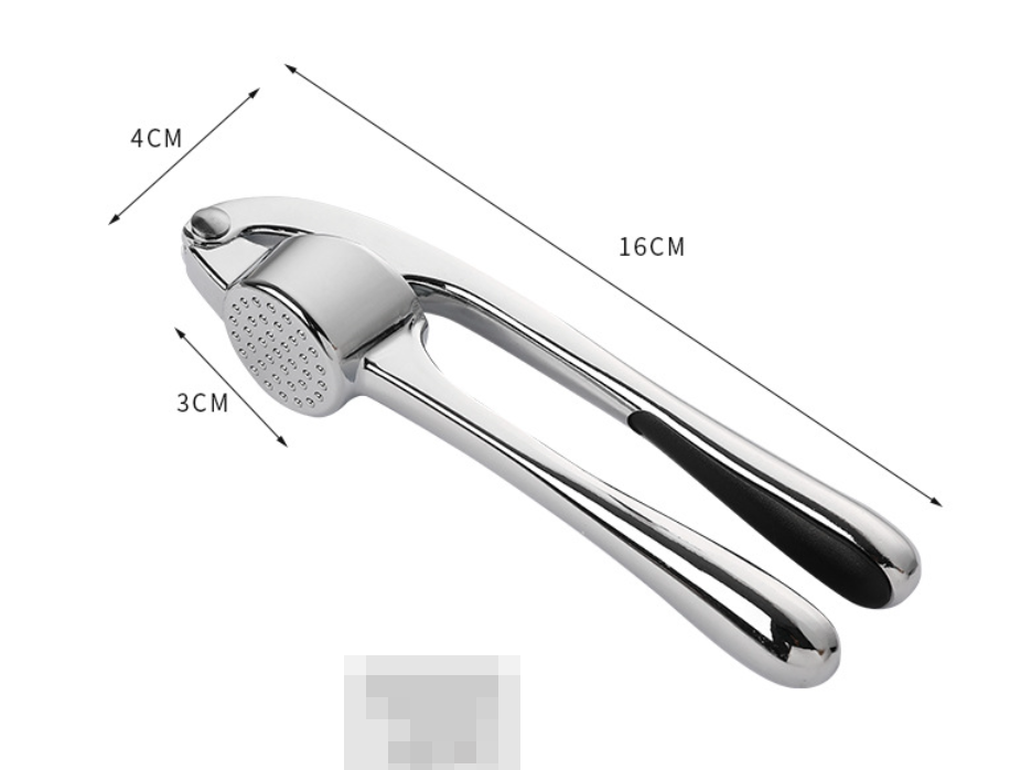 Stainless Steel Garlic Press