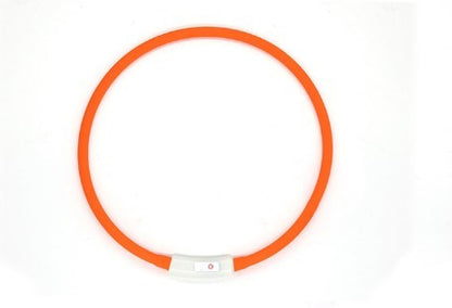 Rechargeable LED Light-Up Dog Collar