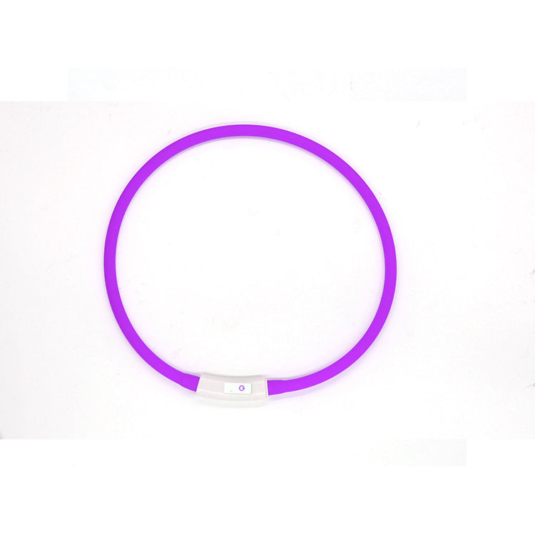 Rechargeable LED Light-Up Dog Collar