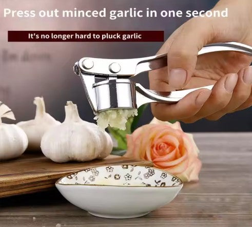 Stainless Steel Garlic Press