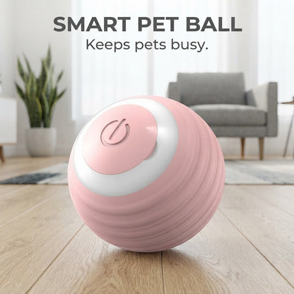 Smart Pet Ball