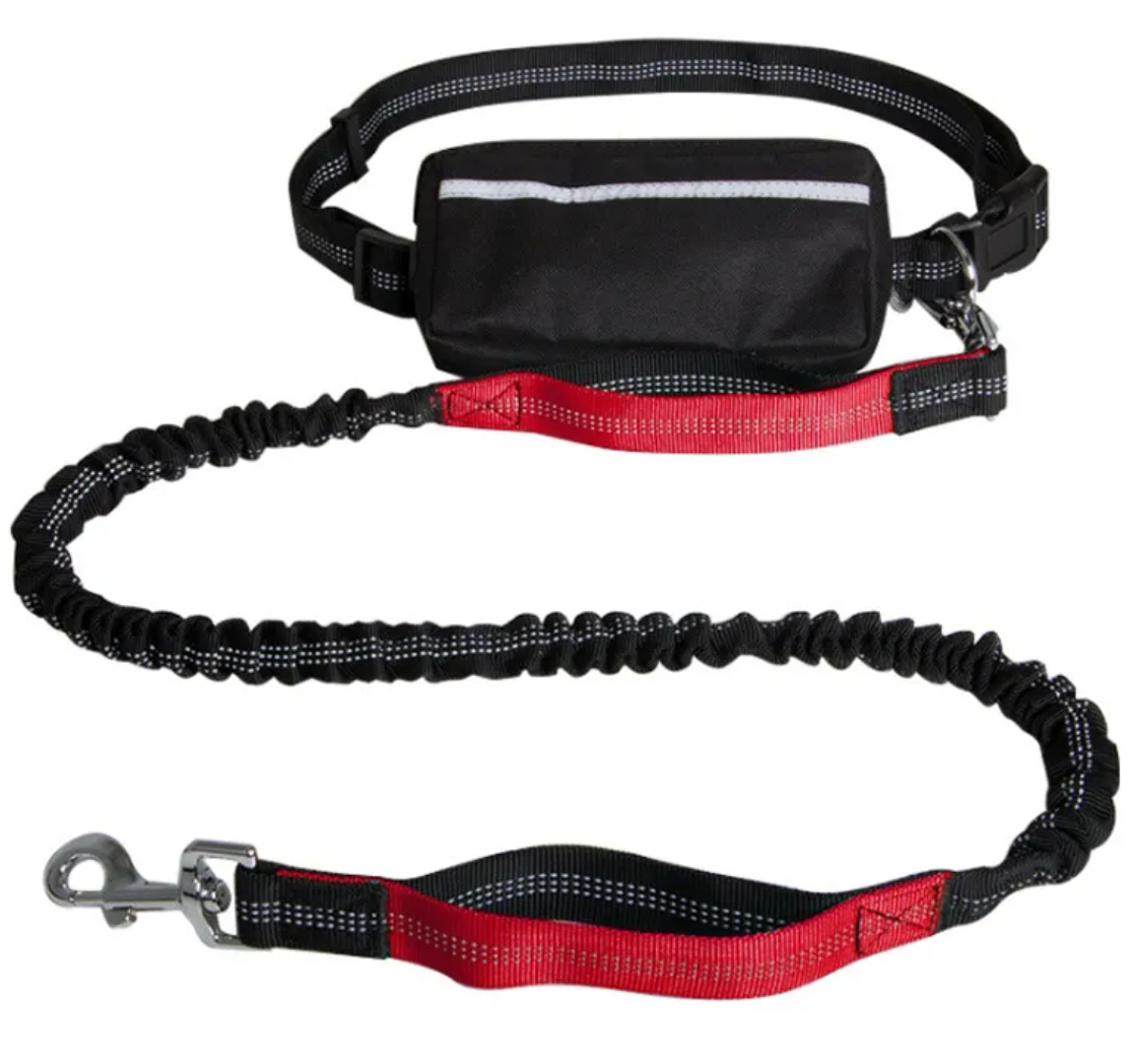 Hands-Free Reflective Dog Leash with Waist Pouch