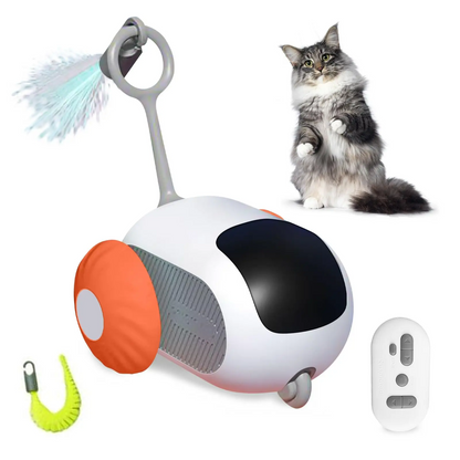 Interactive Remote Control Cat Toy Car